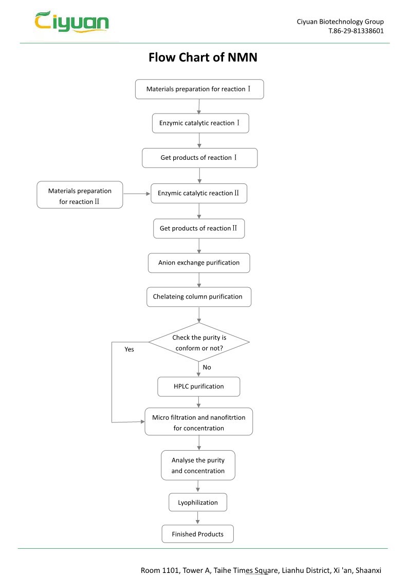 nmn Flow Chart.jpg